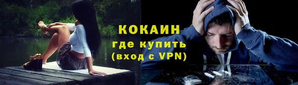 молекула духа Заволжье