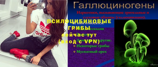 молекула духа Заволжье
