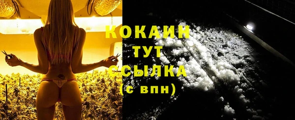 молекула духа Заволжье